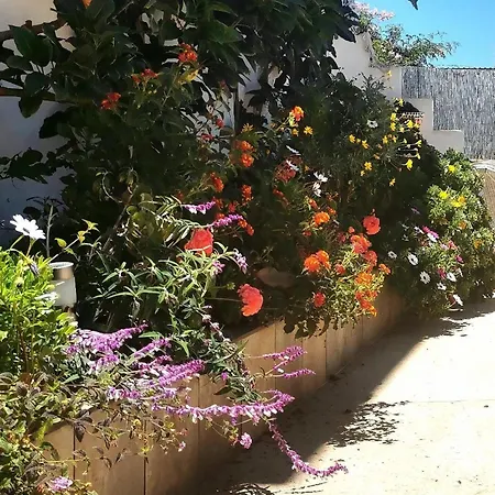 Semesterbostad Haus In Icod De Vinos Mit Privatem Garten